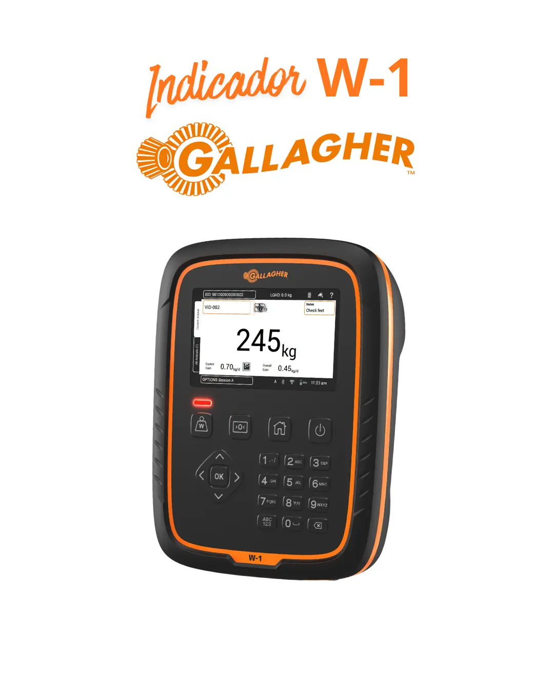 GALLAGHER W-1